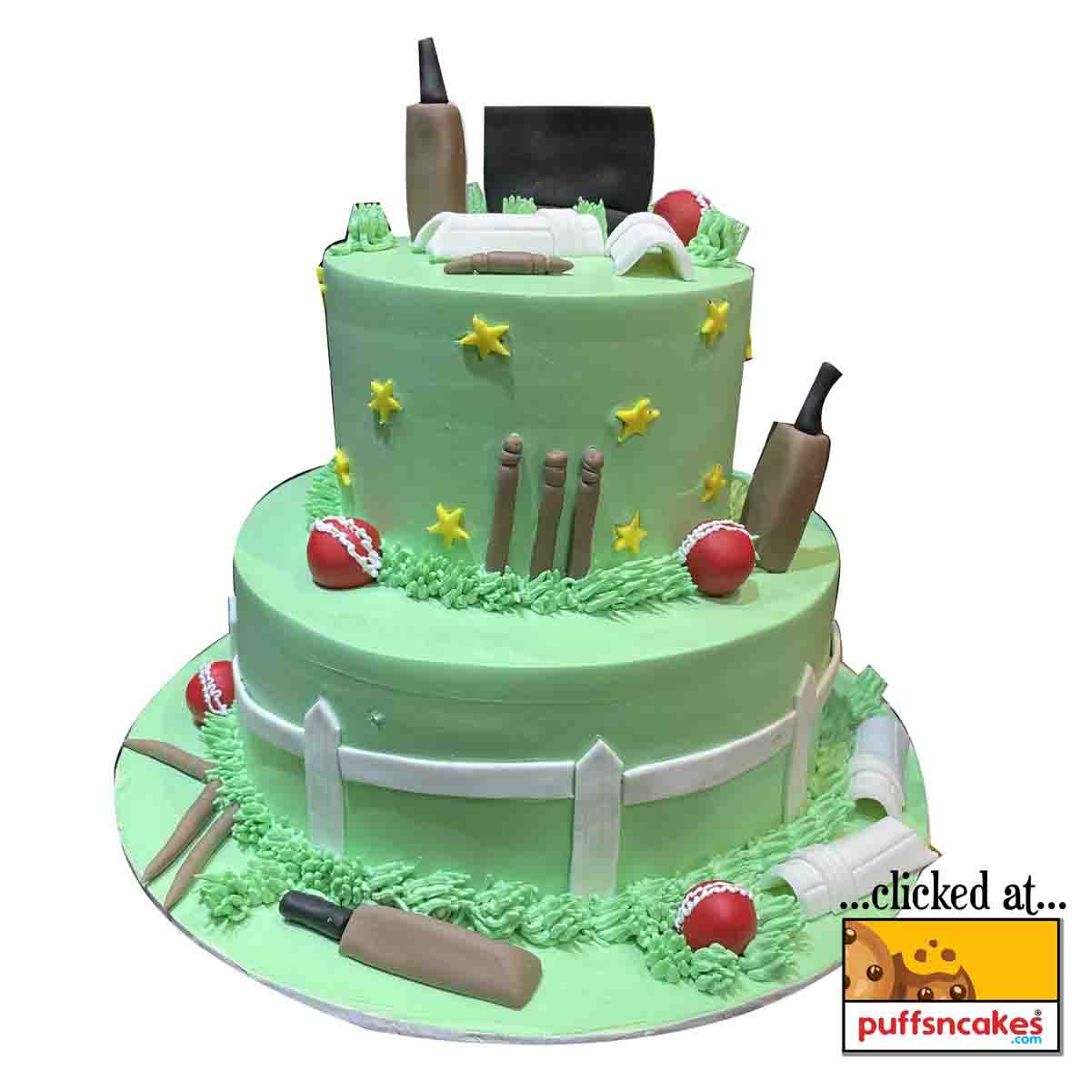 (1266) Cricket Theme Two Tier Cake
